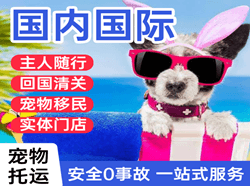 德宏机场物流国际宠物托运 【国